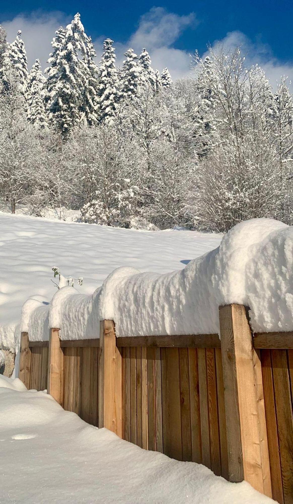 Appartement Naturbunt ゼル エクステリア 写真